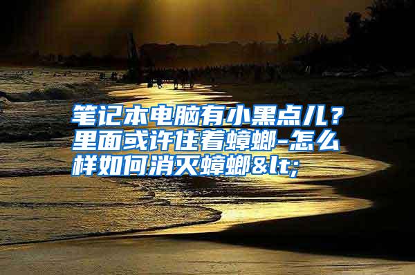 笔记本电脑有小黑点儿？里面或许住着蟑螂-怎么样如何消灭蟑螂<