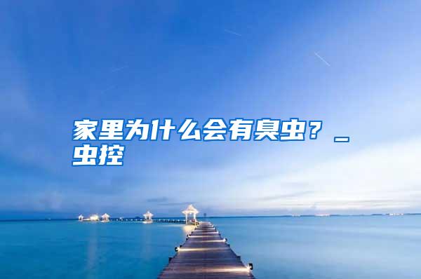 家里为什么会有臭虫？_虫控