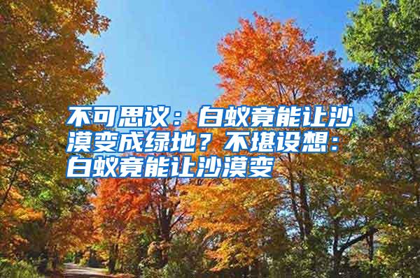 不可思议：白蚁竟能让沙漠变成绿地？不堪设想：白蚁竟能让沙漠变