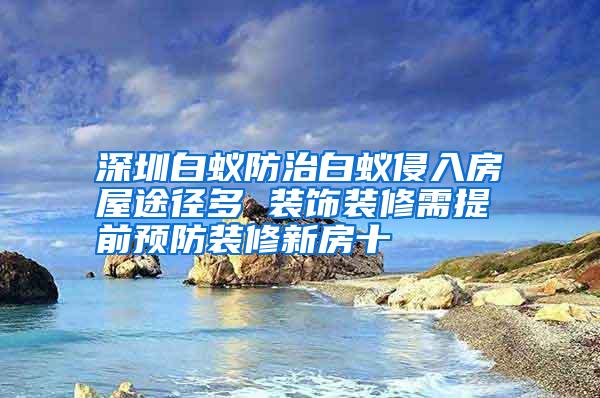 深圳白蚁防治白蚁侵入房屋途径多 装饰装修需提前预防装修新房十