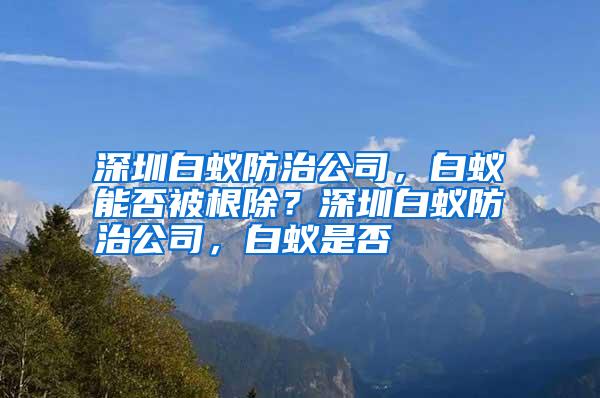 深圳白蚁防治公司，白蚁能否被根除？深圳白蚁防治公司，白蚁是否