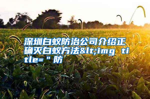 深圳白蚁防治公司介绍正确灭白蚁方法<img title=＂防