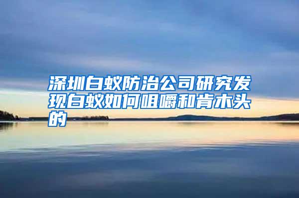 深圳白蚁防治公司研究发现白蚁如何咀嚼和肯木头的