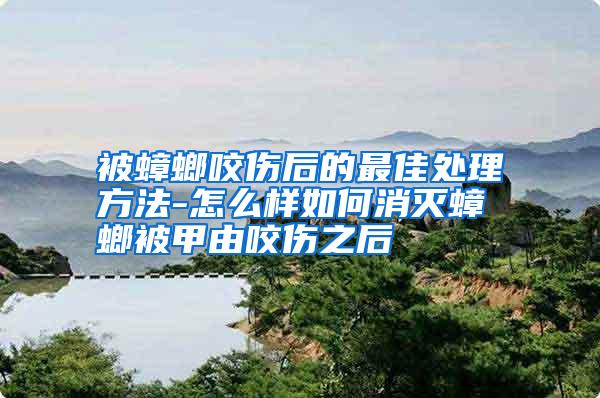 被蟑螂咬伤后的最佳处理方法-怎么样如何消灭蟑螂被甲由咬伤之后