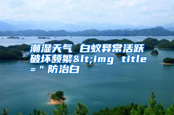 潮湿天气 白蚁异常活跃破坏频繁<img title=＂防治白