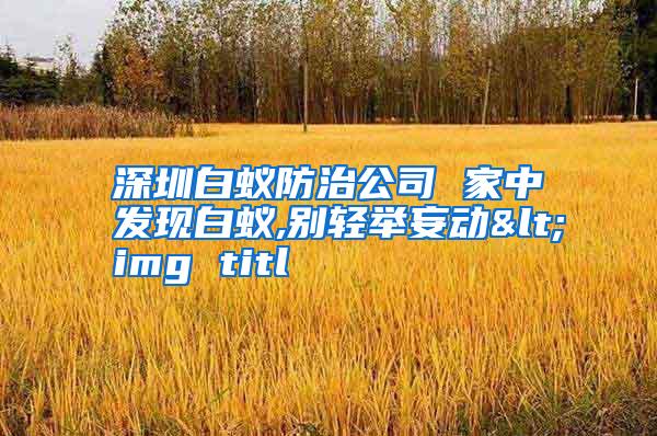 深圳白蚁防治公司 家中发现白蚁,别轻举妄动<img titl