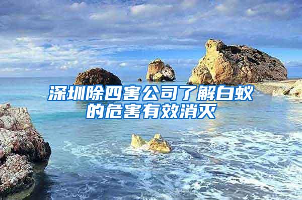 深圳除四害公司了解白蚁的危害有效消灭