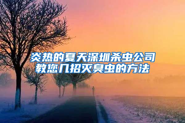 炎热的夏天深圳杀虫公司教您几招灭臭虫的方法